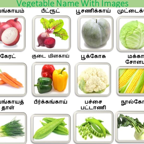 Most Used 50+ Vegetable Names in Tamil and English With Pictures - Total