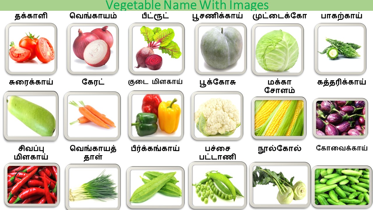 Vegetables list. Овощи список. Виды овощей. Все виды овощей список. Овощи список с фото.