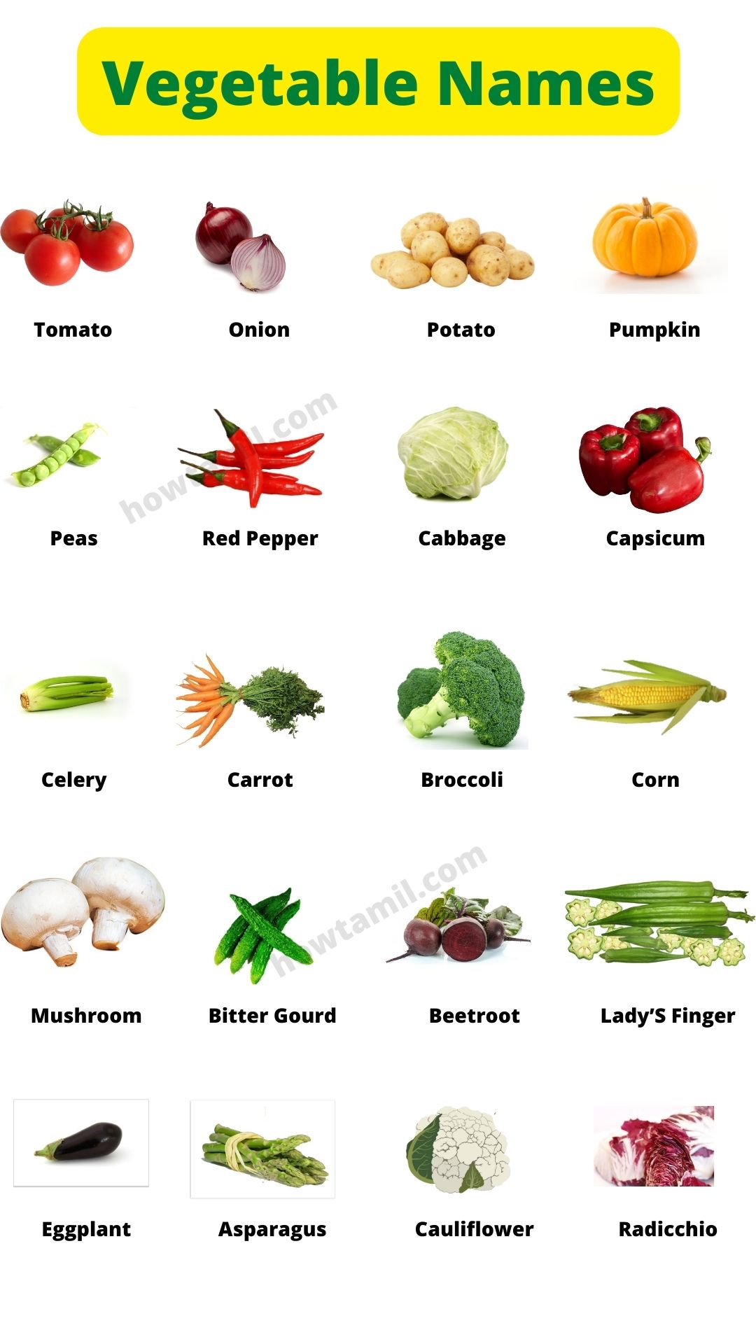 50+ list of vegetable Names a-z with picture