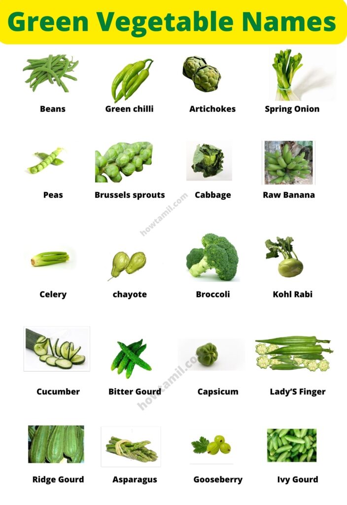 Green Vegetables name list