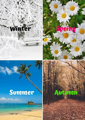 Types of seasons