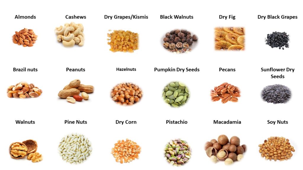 dry fruits in English