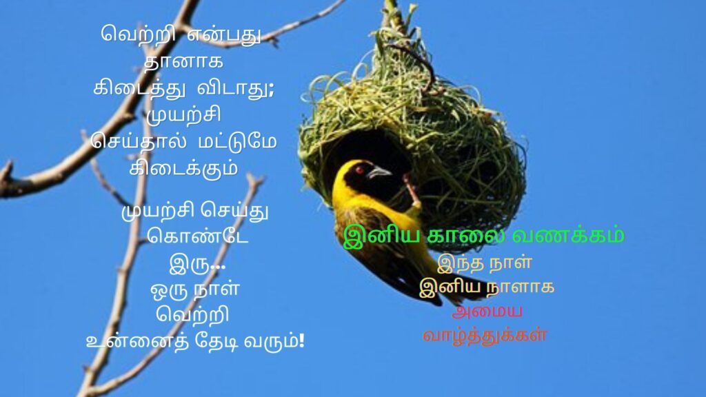 good morning wishes tamil images